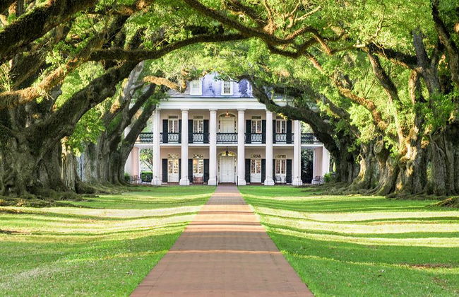 Travel Curious: Charleston Highlights - Private Walking Tour - Foto 2